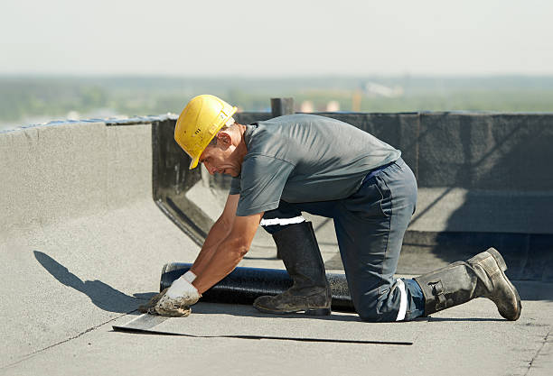 Best Geographic-Specific Insulation Services in Beverly Hills, CA