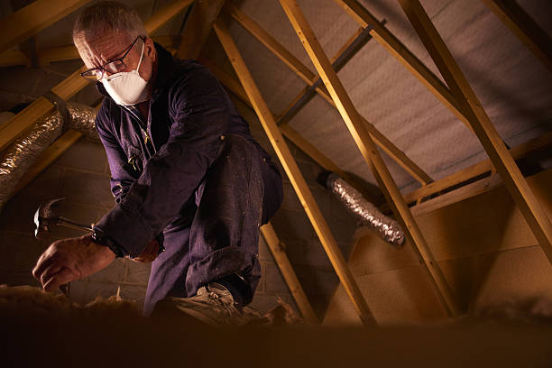 Trusted Beverly Hills, CA Insulation Contractor Experts